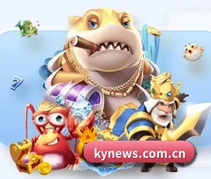 五大服务分区,信息按项目分类